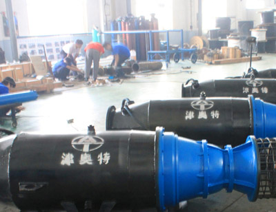 臥式潛水軸流泵